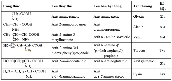 Amino axit là gì? Công thức hóa học và các bài tập liên quan đến amino axit thường gặp